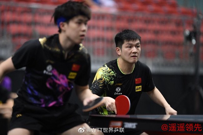 樊振东/王楚钦