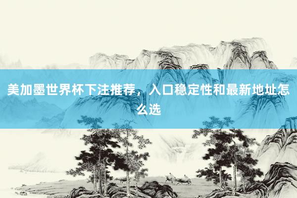 美加墨世界杯下注推荐，入口稳定性和最新地址怎么选